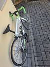 Scoppio SCL 331.1