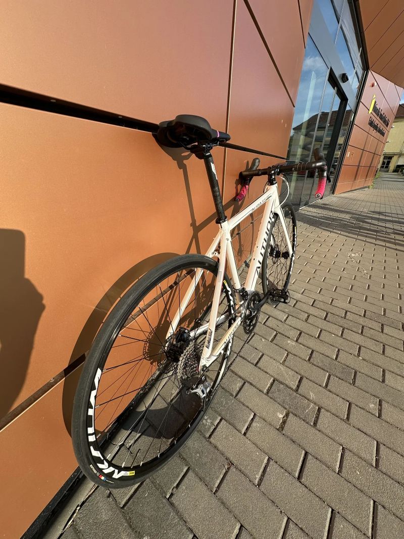 Author Aura 55 disc vel. 48/XS