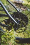 Whyte 901 V3