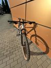 Focus Whistler 3.8, vel. M