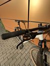 Focus Whistler 3.8, vel. M