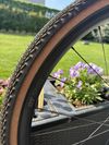 Prodám skoro nejetý Specialized Diverge COMP