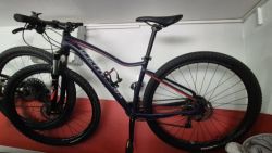 Specialized Jett comp29-damsky