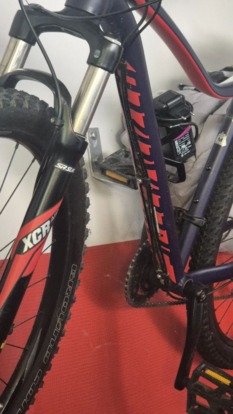 Specialized Jett comp29-damsky