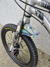 Early Rider Belter 20" Disc