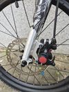 Early Rider Belter 20" Disc