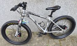 Early Rider Belter 20" Disc