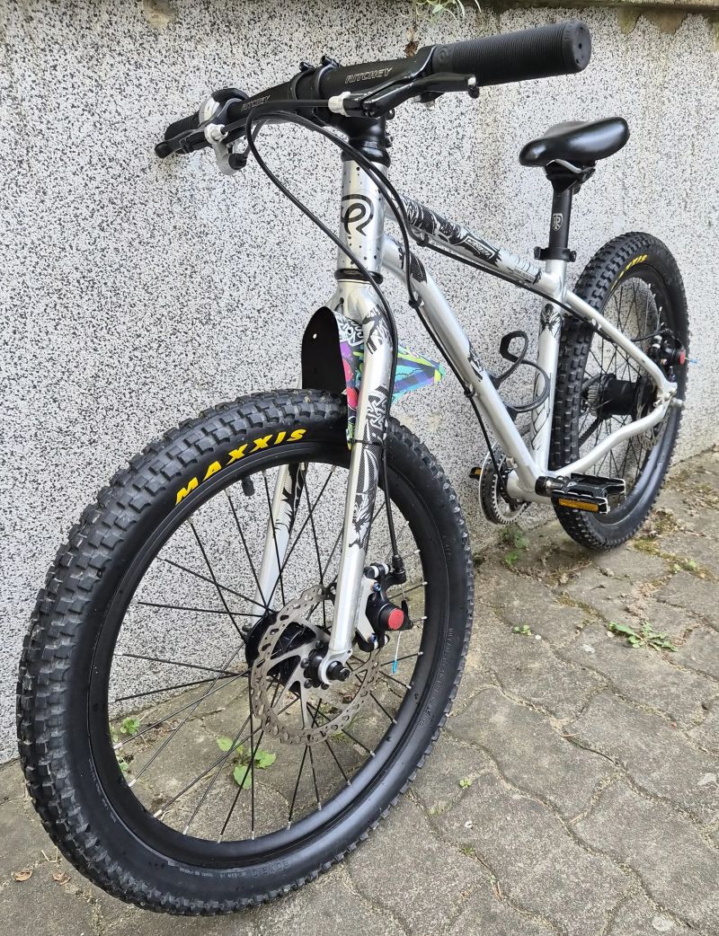 Early Rider Belter 20" Disc
