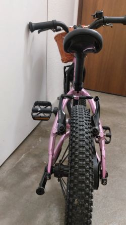 Rascal Rascal 14