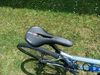 Marin Gestalt X10 2022