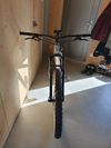 Whyte 529