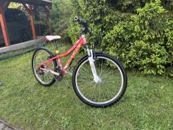 Kellys KITER 50