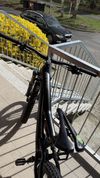 Orbea Rallon M10