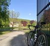 Canyon Ultimate CF SLX 8.0 Ultegra Di2, vel.S