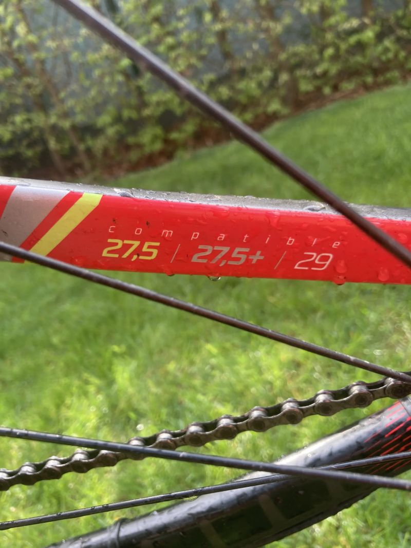 rockrider xc100s