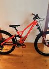 Specialized DEMO