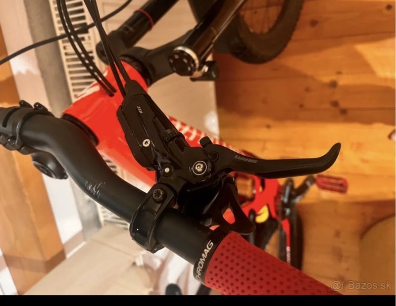 Specialized DEMO