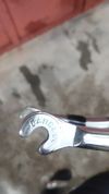 Dancelli Columbus