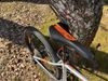 Amulet Youngster 1.10