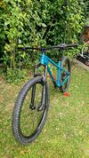Trek Roscole 7