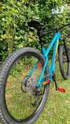 Trek Roscole 7