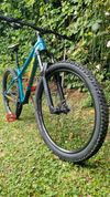 Trek Roscole 7