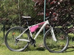 Lapierre Raid 129 Lady