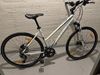 Kellys Pheebe CRX 30