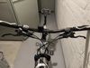 Kellys Pheebe CRX 30