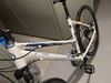 Kellys Pheebe CRX 30