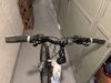 Kellys Pheebe CRX 30
