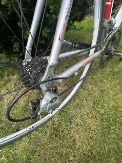 Sintesi X1 velikost S