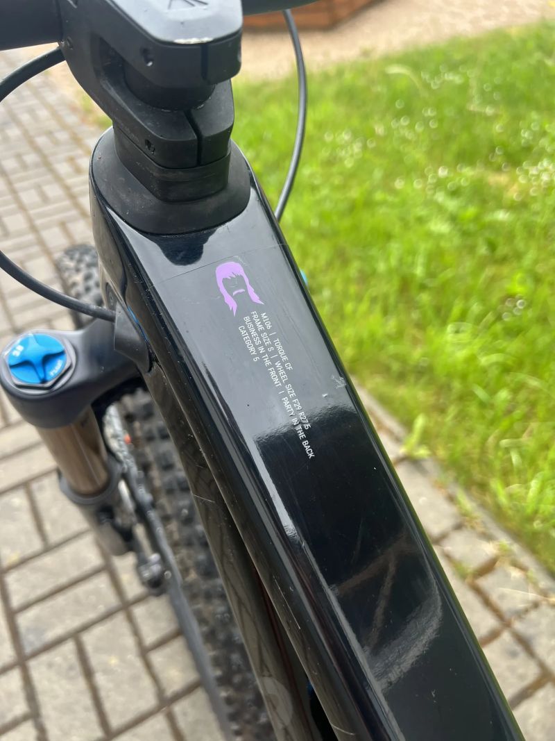 Canyon Torque CF9