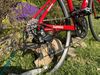 Trek Émonda ALR