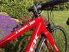 Trek Émonda ALR