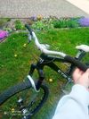 CTM Dirtking Pro