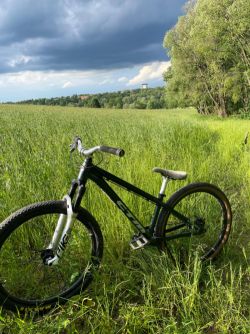 CTM Dirtking Pro