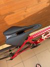 Canyon Canyon Endurace AL