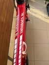 Canyon Canyon Endurace AL