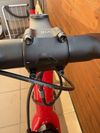 Canyon Canyon Endurace AL