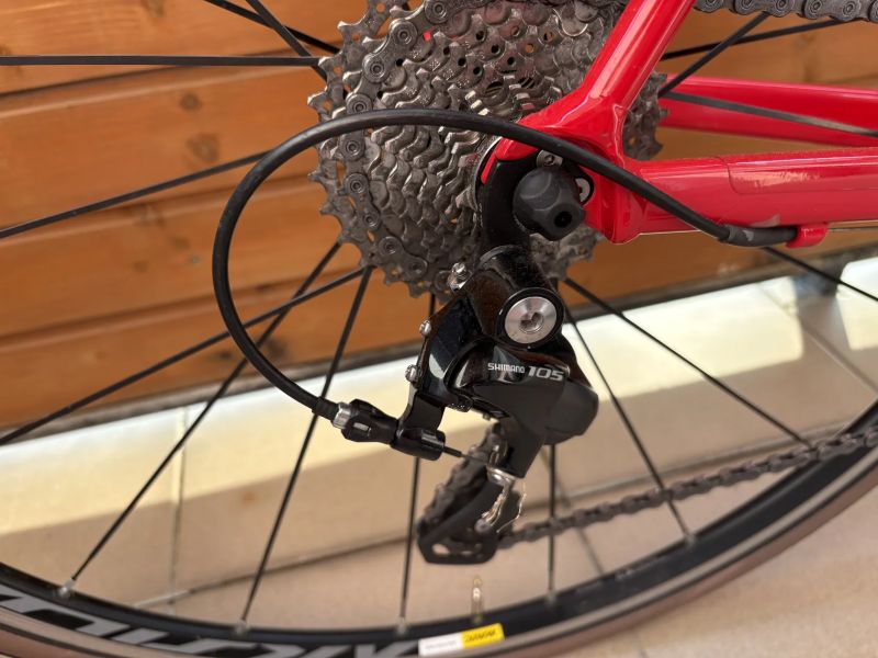 Canyon Canyon Endurace AL