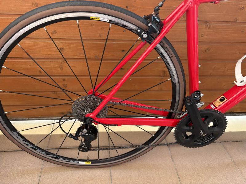 Canyon Canyon Endurace AL