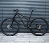 Rose Thrill Hill 1, 2024, vel. M