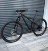 Rose Thrill Hill 1, 2024, vel. M