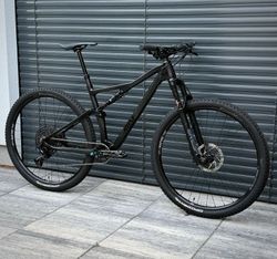 Rose Thrill Hill 1, 2024, vel. M