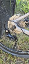 Canyon Roadlite