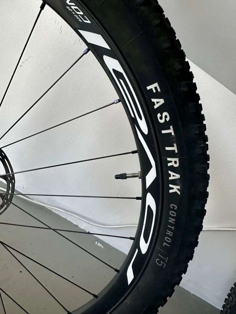 Specialized EPIC EVO EXPERT CARBON