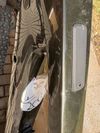 Trek Rail+ 9.5 Gen 4 Black Olive