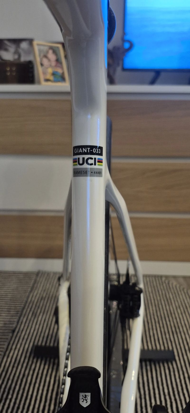 Giant Propel Advanced 1