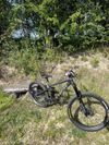 Trek Remedy 8